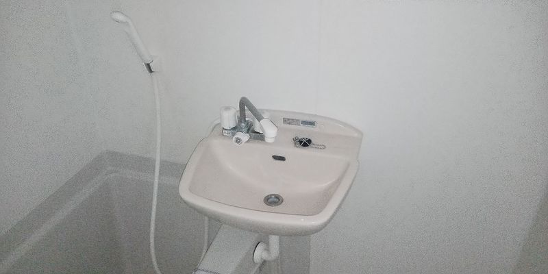 レオネクストエフ　ニイジマⅤ 洗面所