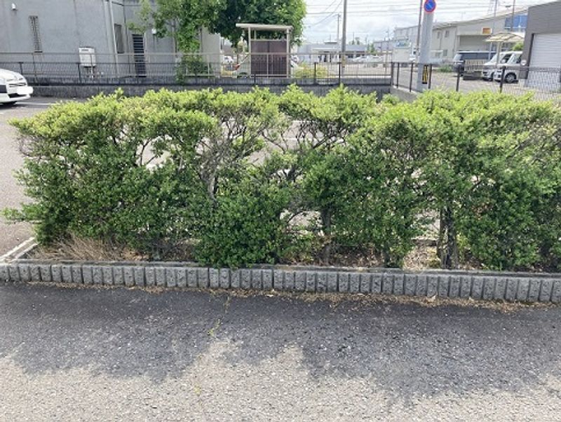 レオパレスｉｎ六条 庭