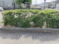 レオパレスｉｎ六条 庭