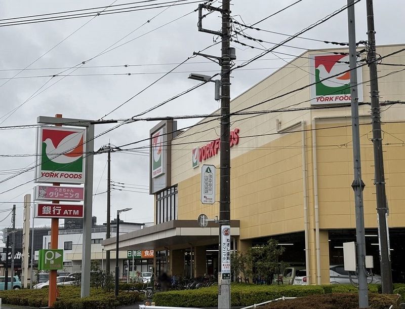 leopalace Crew of Island Surrounding area