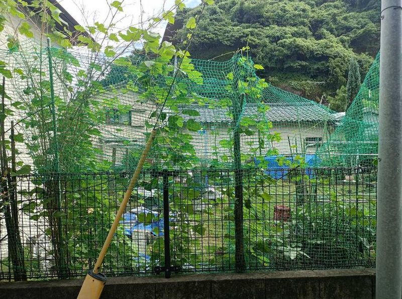 レオパレスウィンドバレイ　永吉 眺望