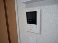 CLEINO Riverside II 기타