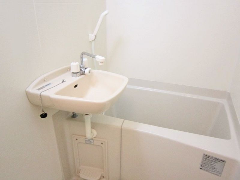 leopalace Ryu Bathroom