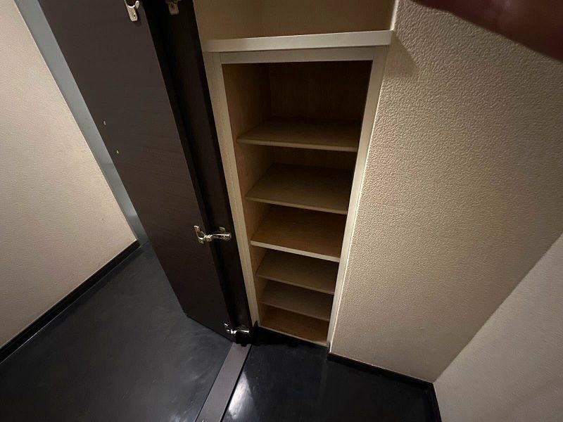 レオネクストミモザ その他