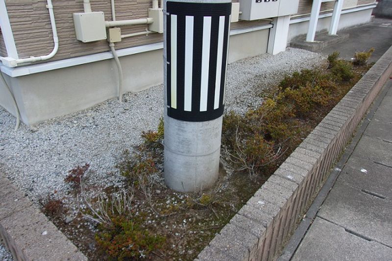 レオパレス城南荘 庭