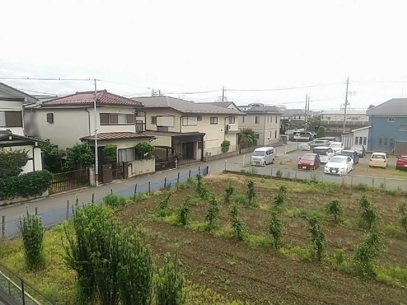 レオネクストスィングアイランド 眺望