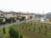 レオネクストスィングアイランド 眺望