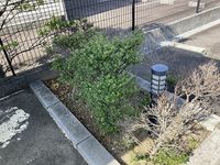 レオネクスト白山Ⅱ 庭