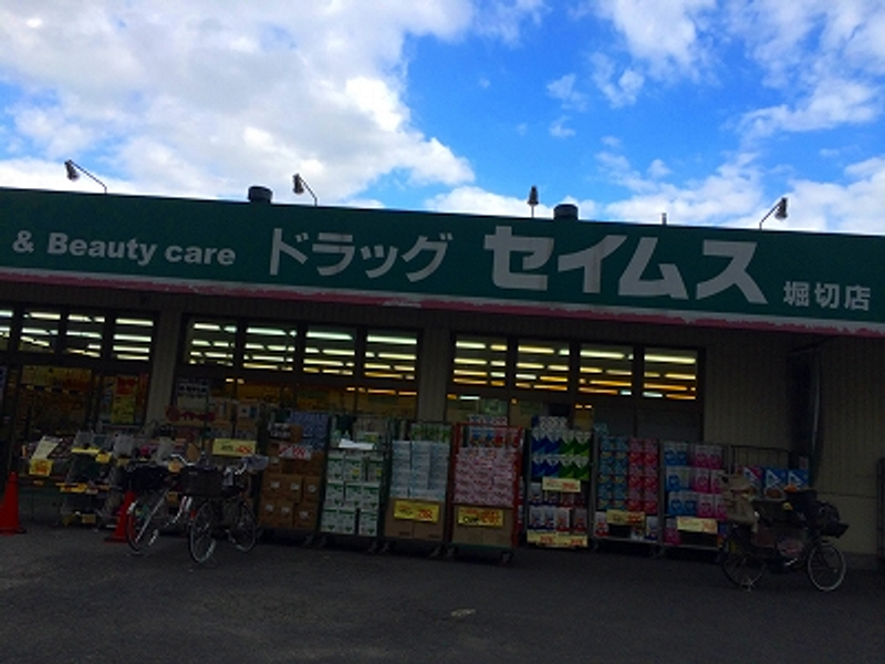 レオネクストルナ 周辺環境