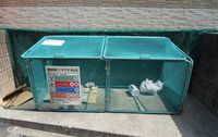 レオパレスエルハーベン 共用部分