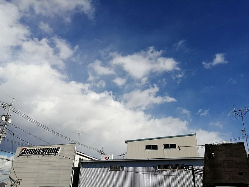 レオネクスト雪月花Ⅰ 眺望