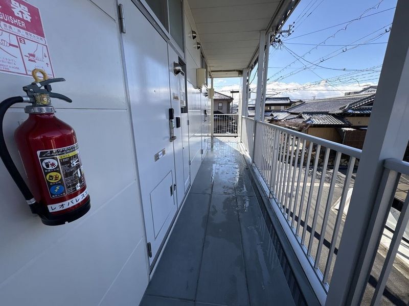 leopalace Edel Khác