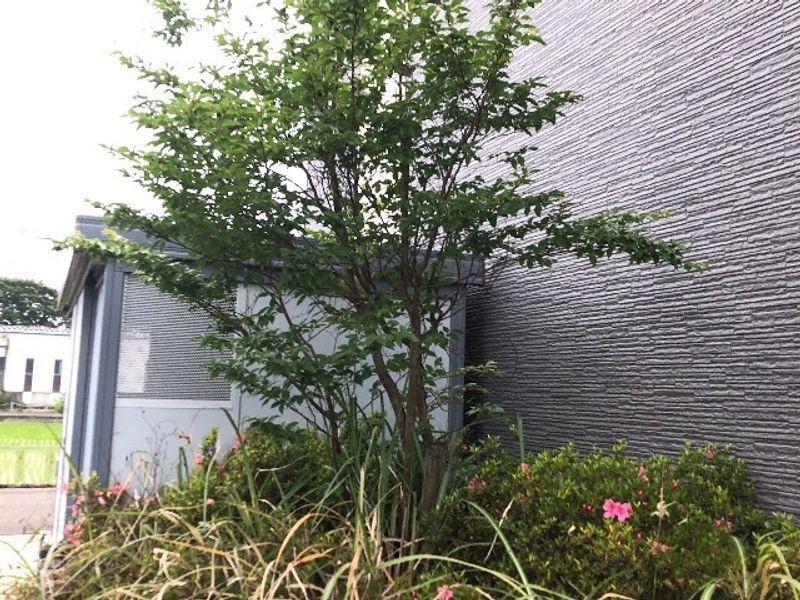 レオパレス清流Ⅲ その他
