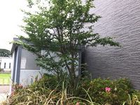 レオパレス清流Ⅲ その他