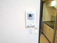 レオネクストラムールウールー セキュリティ