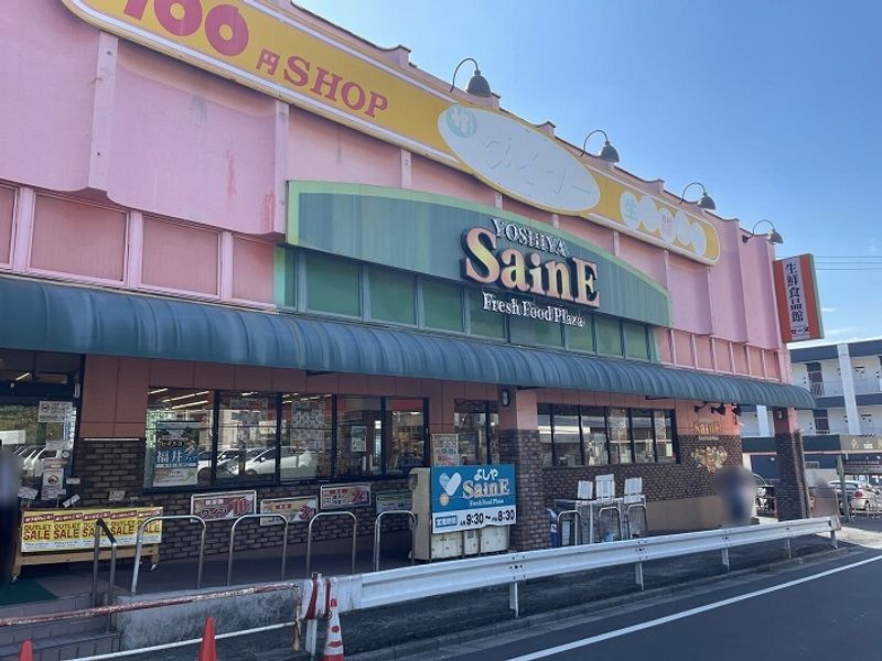 レオネクストポラリスⅠ 周辺環境