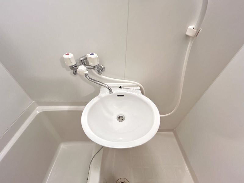 leopalace Navel II Sink