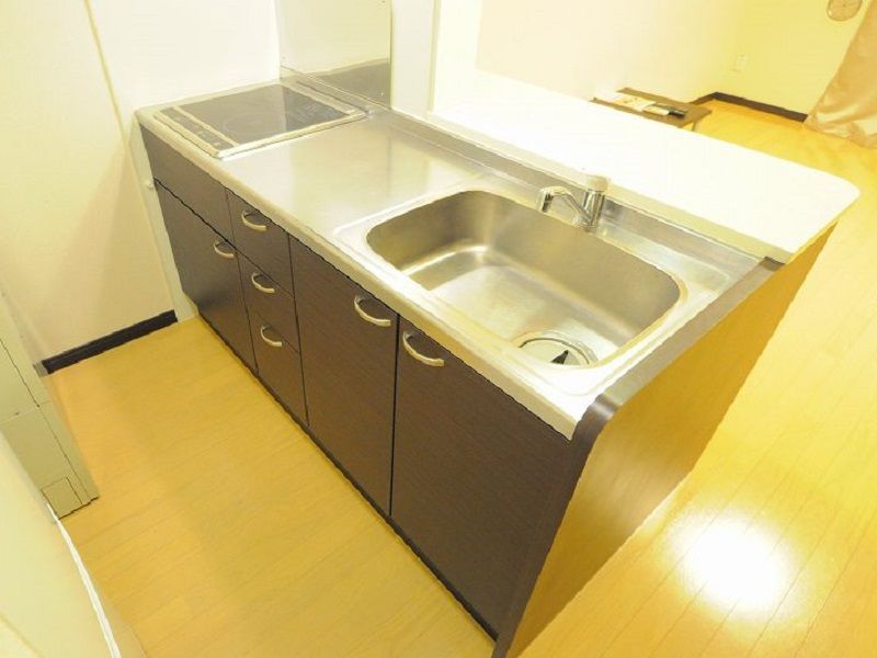 レオネクストたからＣ キッチン
