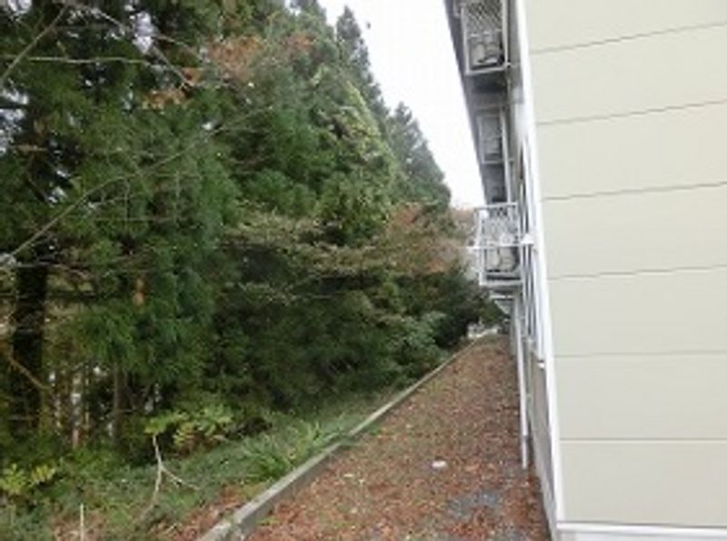 レオパレスカサブランカ その他