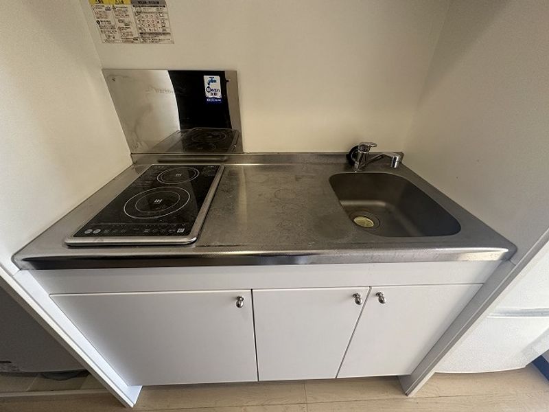 LEONEXT Sunny Court Nishi Terao Kitchen