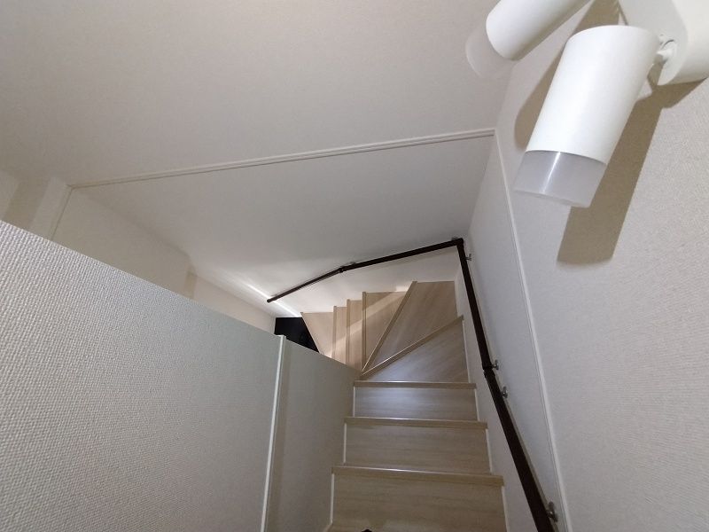 CLEINO Luce Gajin Khác