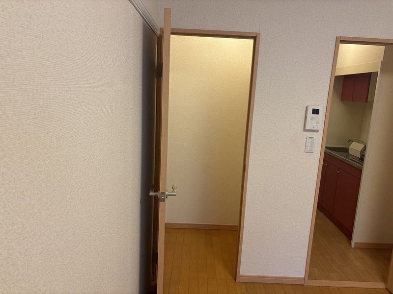 レオパレスアビタンティ 収納