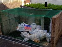 レオパレスウェストシティー 共用部分