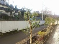 レオパレス幸 眺望