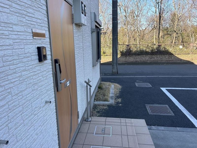 CLEINO Sinfonia Khác