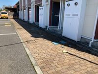 レオネクストビィグラッドⅡ 共用部分
