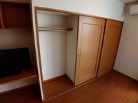 レオパレス一本杉Ⅱ 収納