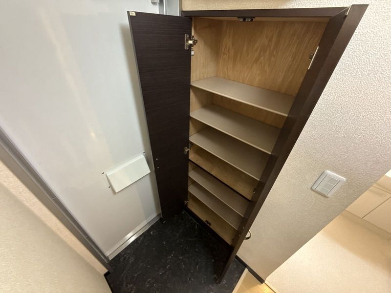 レオネクストパトリア その他