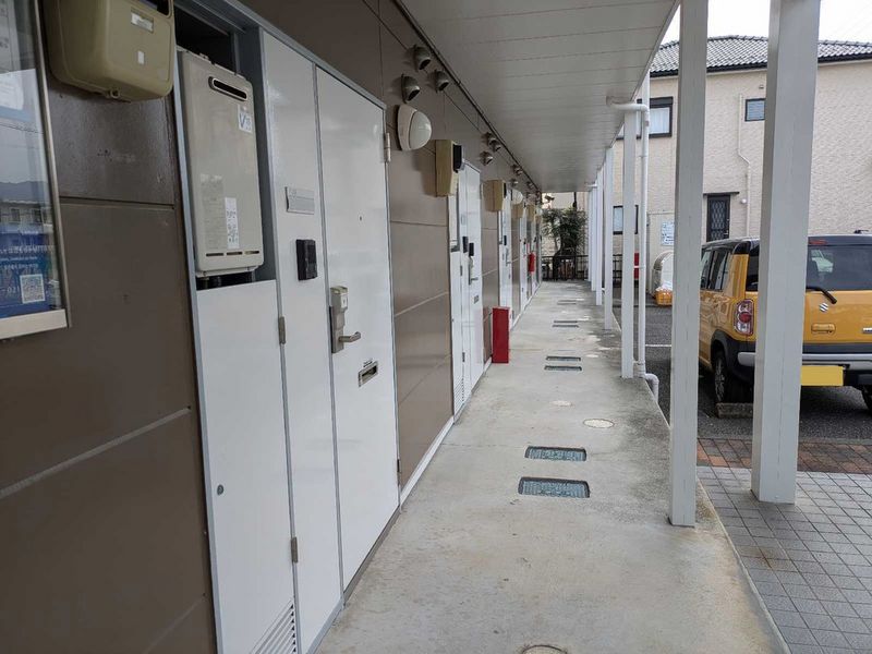 leopalace Pure 기타