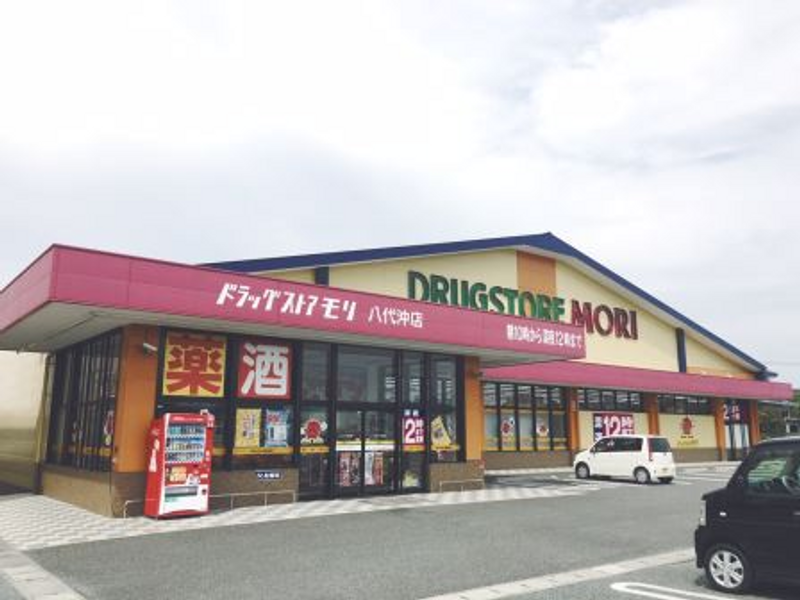 レオネクストＴ　Ｓ西町 周辺環境
