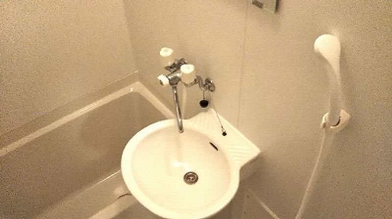 レオネクストブランシュ 洗面所