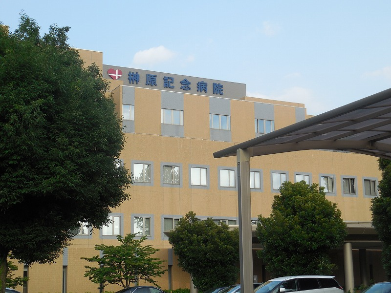 LEONEXT SOMEYA Môi trường xung quanh