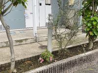 レオパレスフレンズ 共用部分