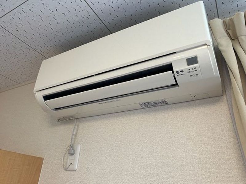 レオネクストスイートピー undefined