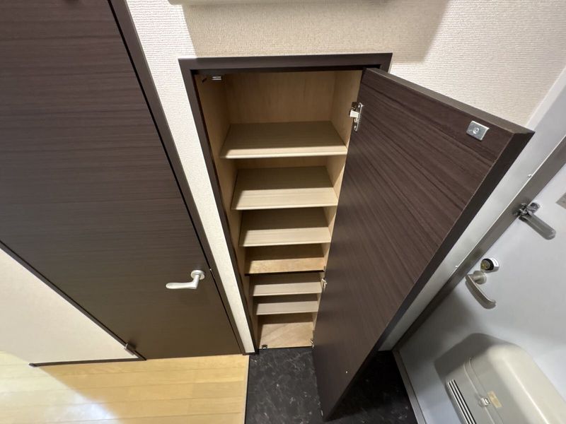 CLEINO Sunrise III 기타