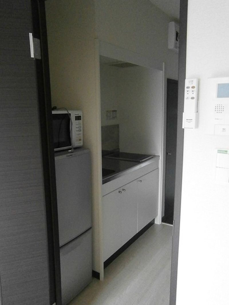 レオネクストマ　メゾン　豆田 その他設備