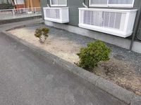 レオパレスニシキ 庭