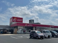 レオネクスト白枝Ⅱ 周辺環境