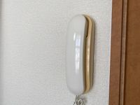 レオパレス龍南 セキュリティ