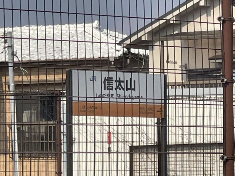 LEONEXT Sugi Môi trường xung quanh