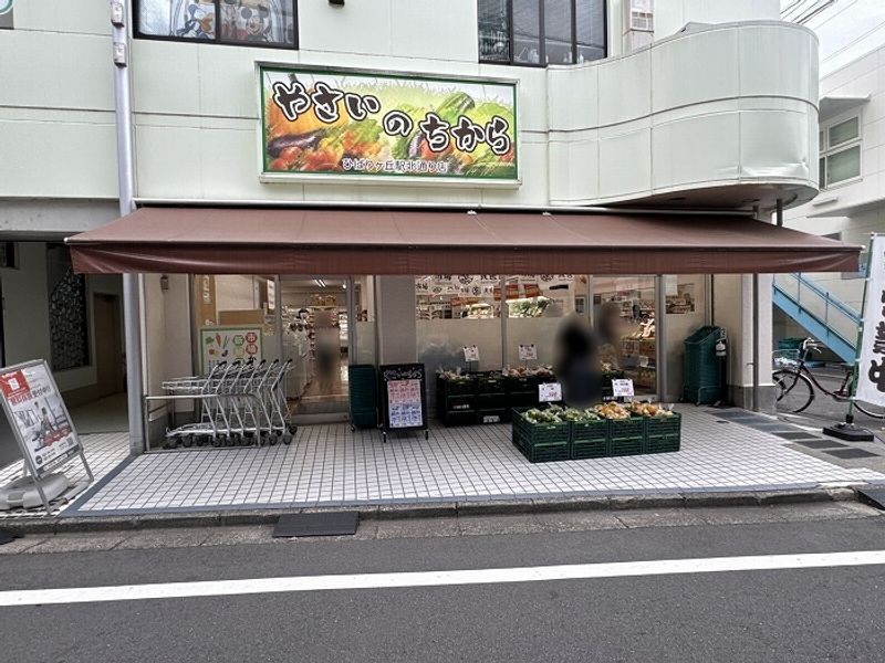 レオネクストけやき 周辺環境