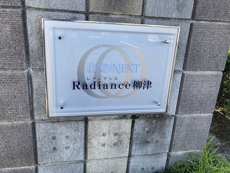 レオネクストレディアンス柳津 その他