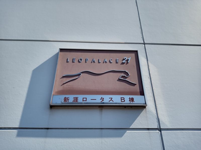 レオパレス新涯ロータスＢ棟 共用部分