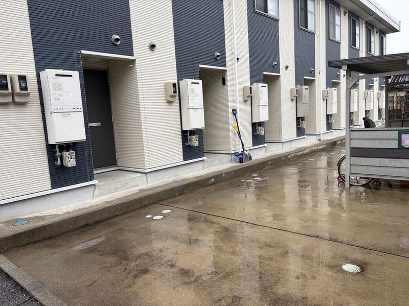 LEONEXT Kamibukuro II Other