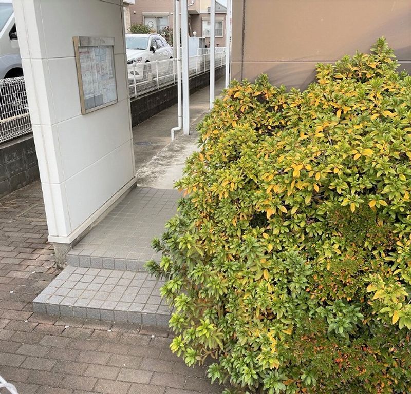 レオパレスコスモスハイツ エントランス