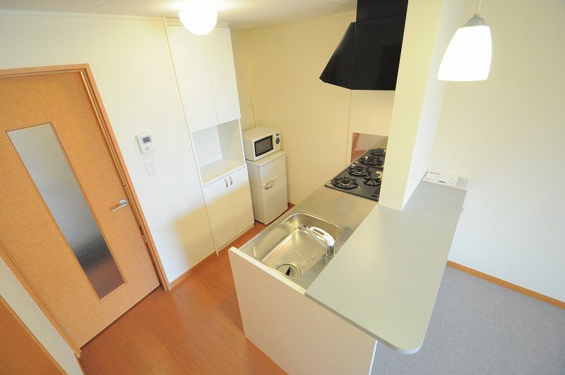 leopalace Fujisaki II 주방